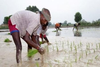 Telangana government waives off loans up to Rs 2 lakh