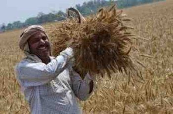 There is a wave of happiness among farmers regarding PM Modi's Varanasi visit