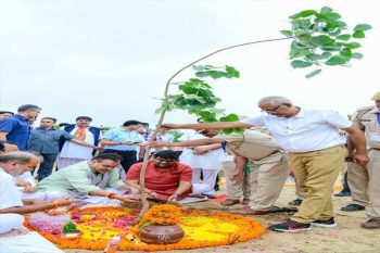 More than 1 crore trees planted on Hariyali Teej in Rajasthan