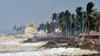 Cyclonic storm Dana showed its fierce form, trees uprooted, roads blocked