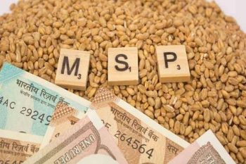 MSP increased on 6 Rabi crops including wheat and lentils