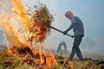 Those who burn stubble will no longer be able to sell their crops