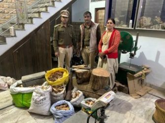 Red sandalwood smuggling racket busted in Jaipur