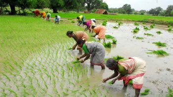 Big news for farmers,20th installment of PM Kisan will come on 20th June