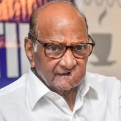Language controversy Sharad Pawar said- It is not right to make Hindi compulsory from class one, it should be taught after class 5
