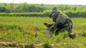 Nine country-made bombs recovered from a bag in Bardhaman, Bengal, police defused them