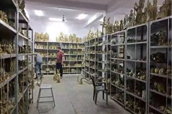 Aligarh Preparations for Kanwar Yatra in full swing, demand for idols increased