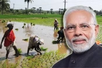 Modi government gave a big gift to the farmers, Cabinet approves PM Dhan Dhanya Krishi Yojana