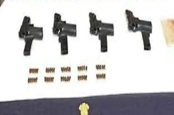 BSF recovers pistol parts and Pakistan-made ammunition
