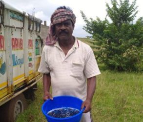 Shri Samuel Murmu became self-reliant through cage culture in a closed mine