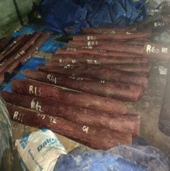 DRI foils organized smuggling of red sandalwood;15 MT of red sandalwood worth ₹6.26 crore seized in Chennai;four arrested.