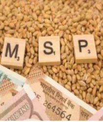 Implementation of MSP with legal guarantee
