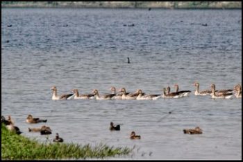 Shri Bhupender Yadav declared Shekha Lake Bird Sanctuary as India's 99th Ramsar site; the number of such sites in Uttar Pradesh has risen to 12.