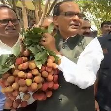 Union Agriculture Minister Shri Shivraj Singh Chouhan's Immediate Decision on Farmers' Issues